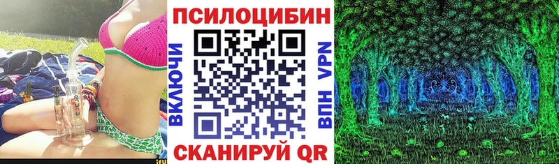 Псилоцибиновые грибы Cubensis  Купить где  Жирновск 